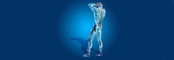 Chiropractic Maryland Spine Institute Intersegmental Traction Chiropractic Maryland Spine Institute Intersegmental Traction